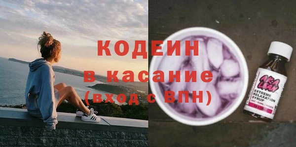 прущие грибы Бородино