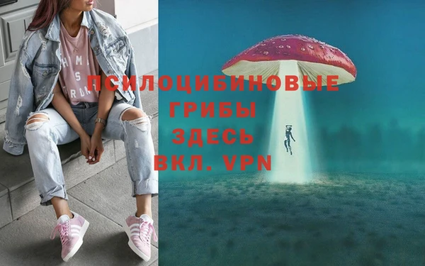 синтетический гашиш Верхний Тагил