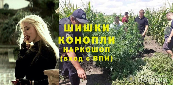дживик Бронницы