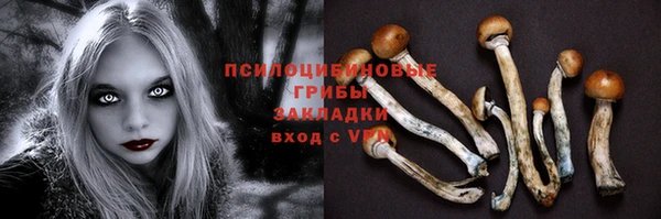 кокс Верея