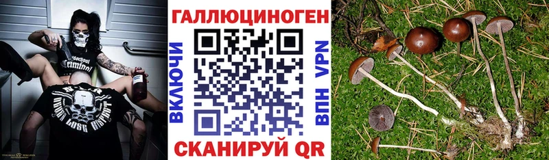 Галлюциногенные грибы мицелий  Гудермес 